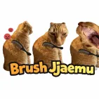 Brush Jjaemu is a fast-paced reflex game where you brush a moody cat, stop at the right moment, and react quickly to survive longer and beat your best score.